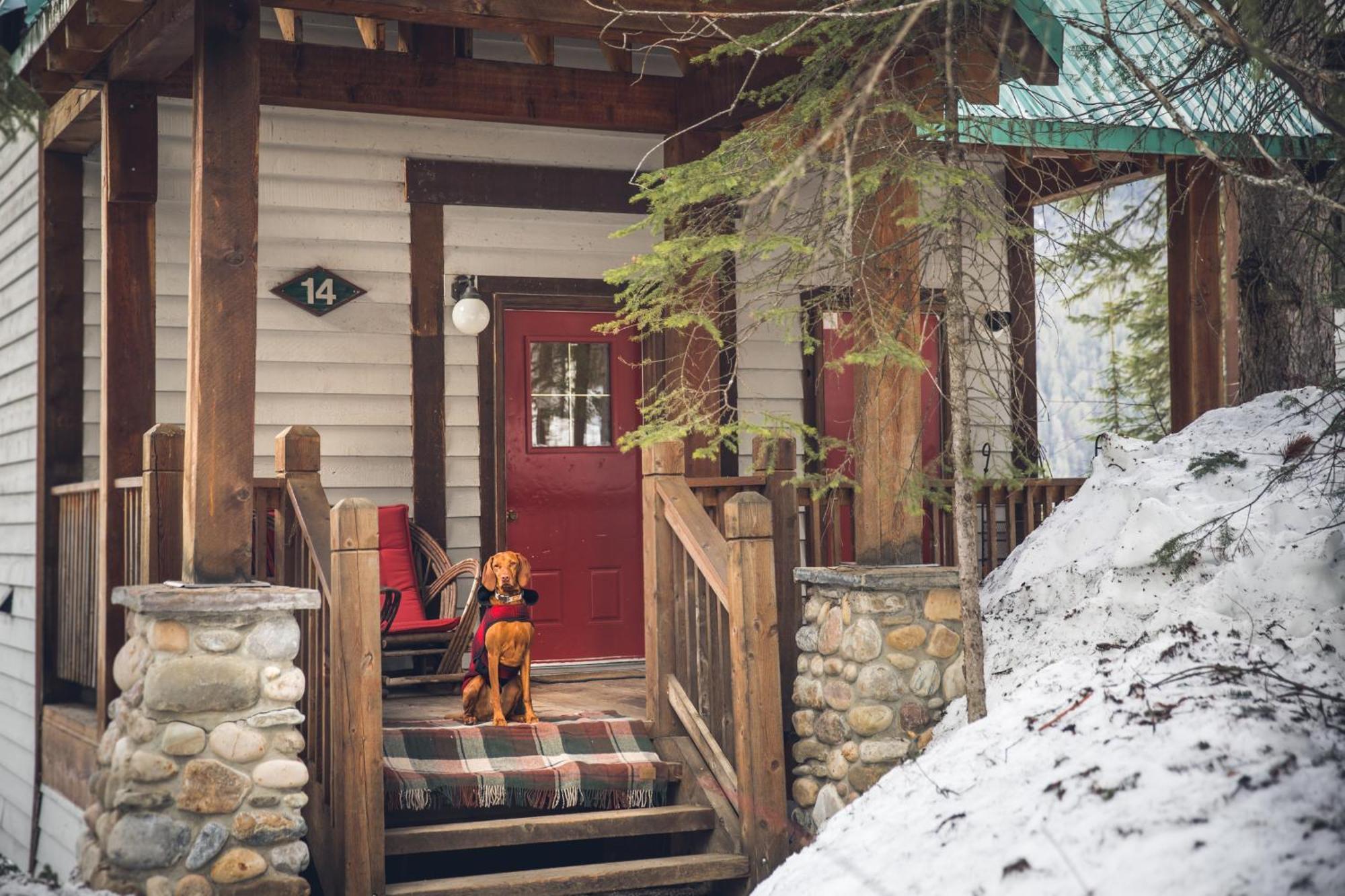 Emerald Lake Lodge Field Esterno foto