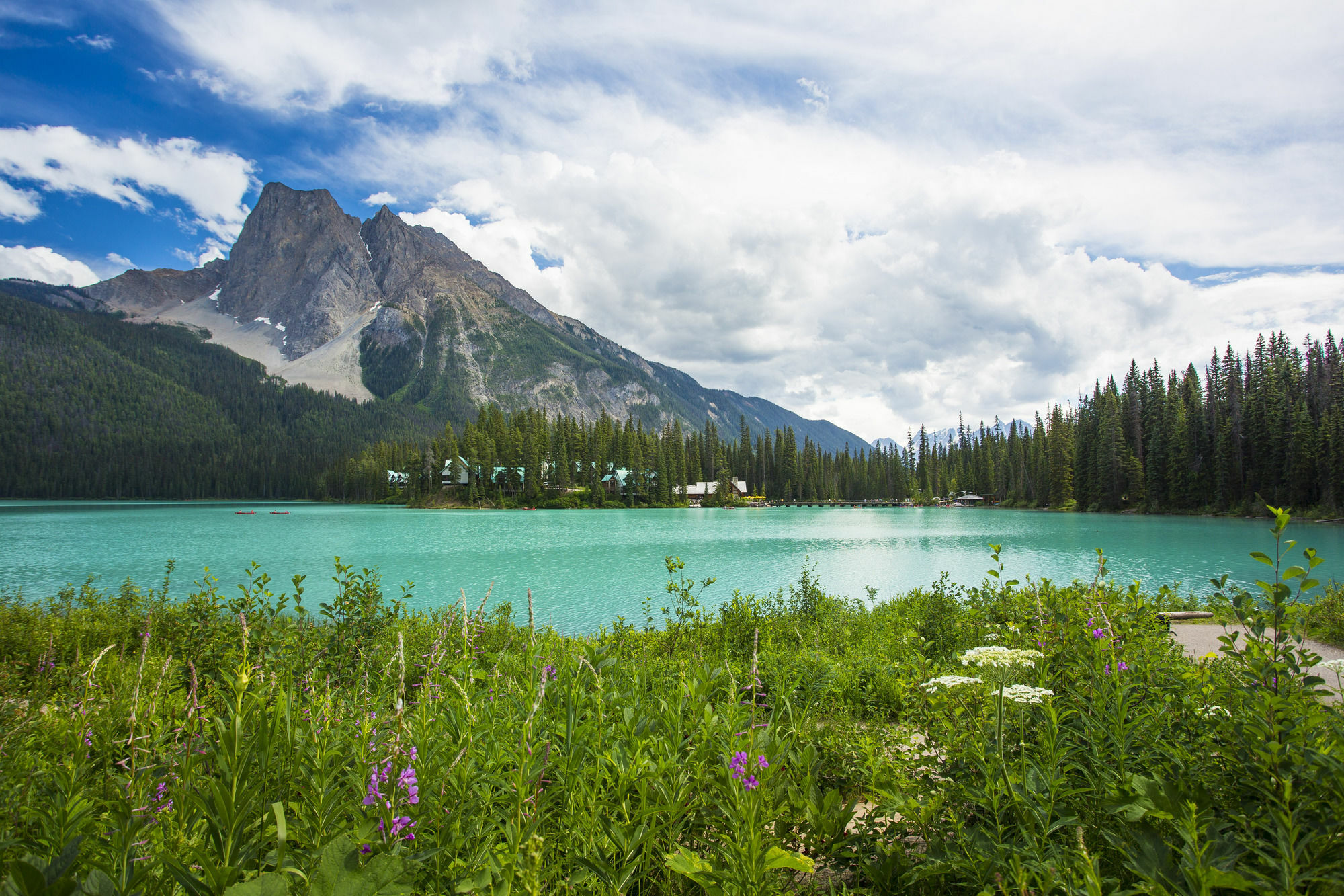 Emerald Lake Lodge Field Esterno foto